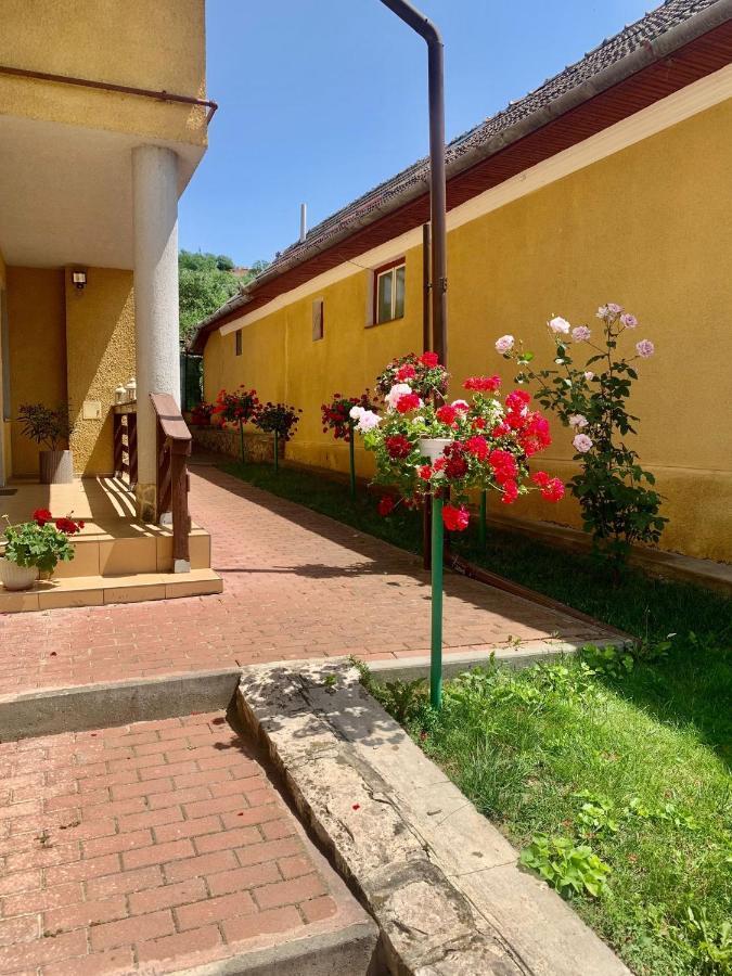 Apartmán Casa Ramona Turda Exteriér fotografie